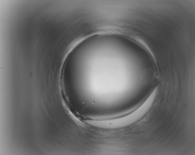 X0000066101485200603241505