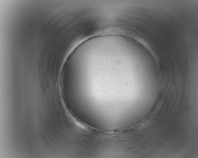 X0000066101486200603241505