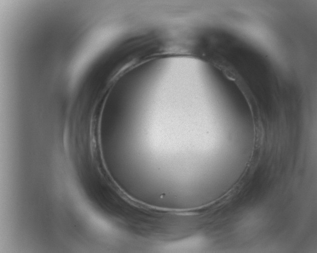 X0000066101487200603241505