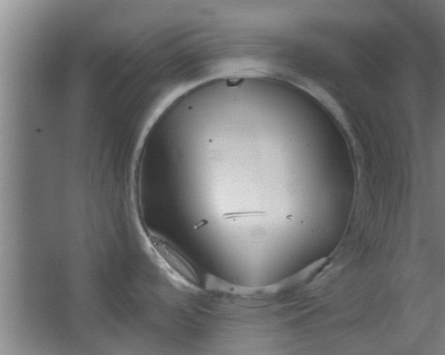 X0000066101488200603241505