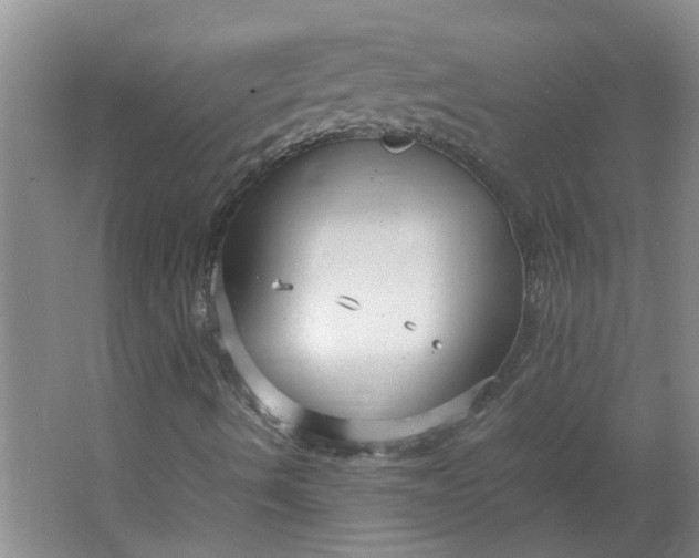 X0000066101490200603241504