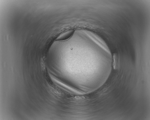 X0000066101491200603241504