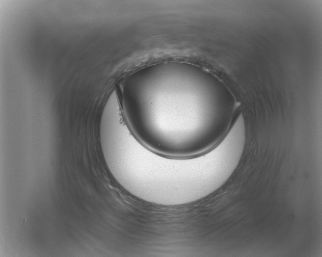 X0000066101492200603241504