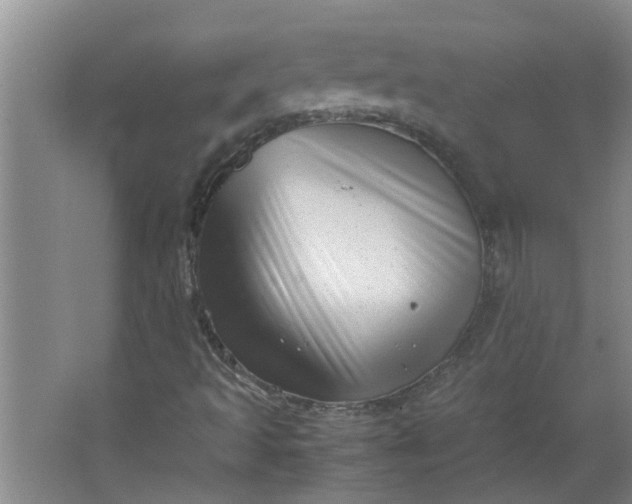 X0000066101493200603241504