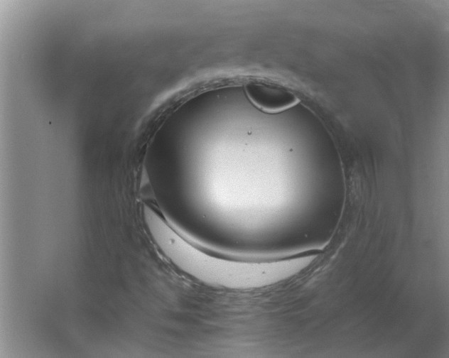 X0000066101494200603241504