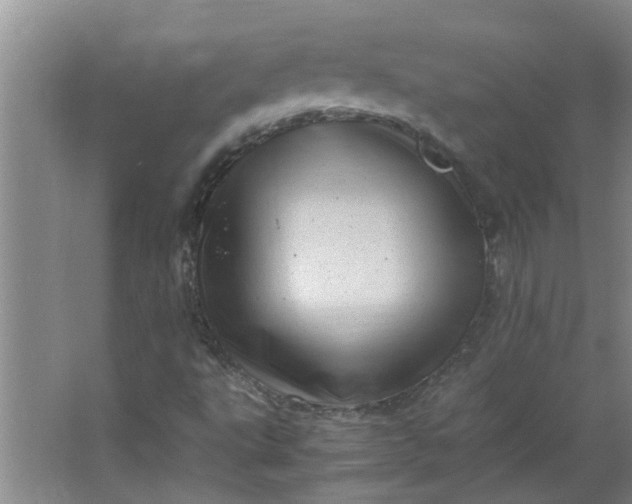 X0000066101495200603241504