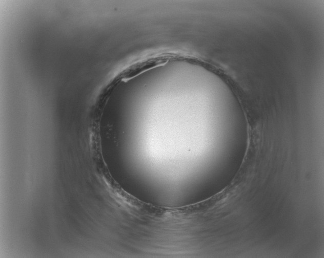 X0000066101496200603241504