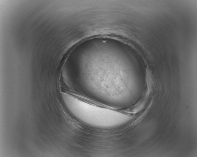 X0000066101497200603241504