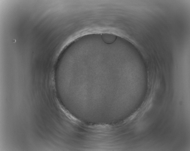 X0000066101498200603241504