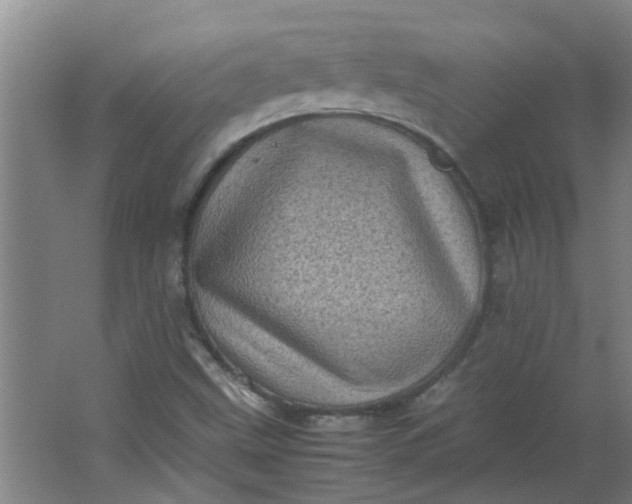 X0000066101499200603241504