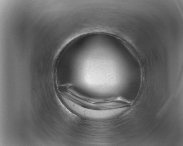 X0000066101500200603241504