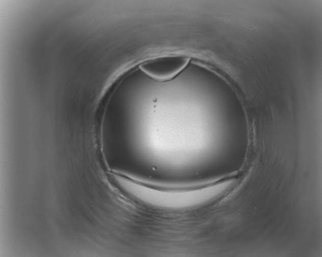 X0000066101501200603241504