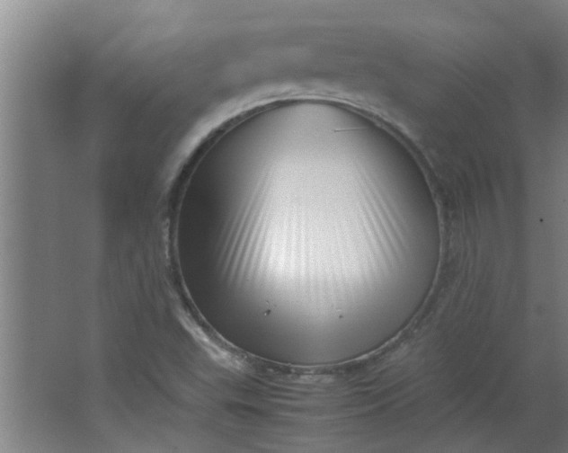 X0000066101503200603241504