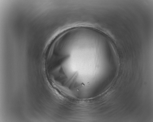 X0000066101504200603241504