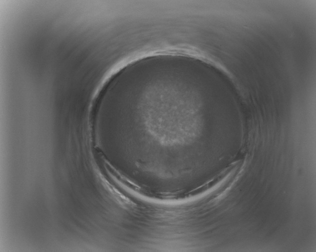 X0000066101506200603241504