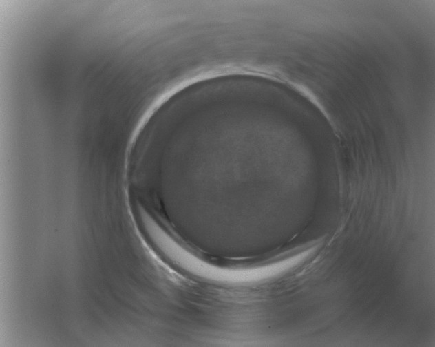 X0000066101508200603241504