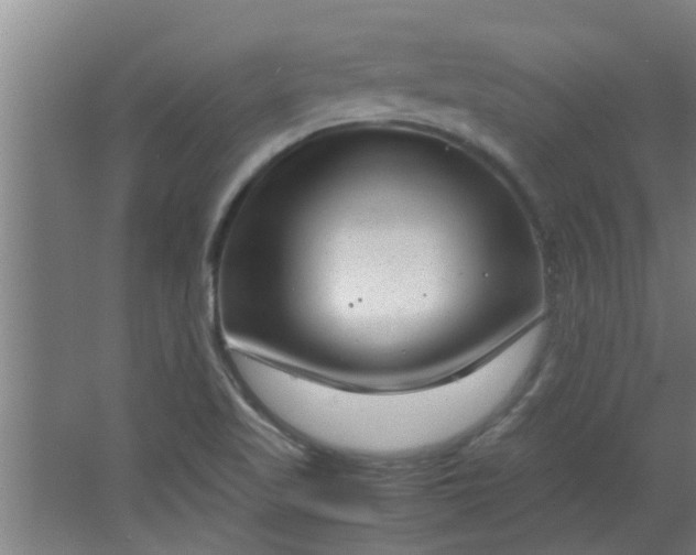 X0000066101509200603241504