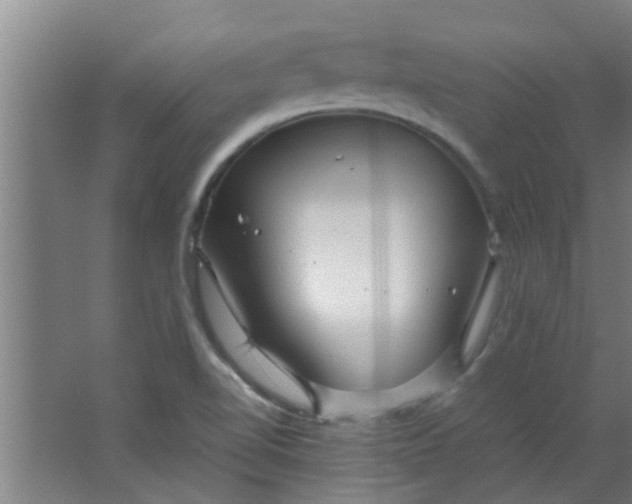 X0000066101510200603241504