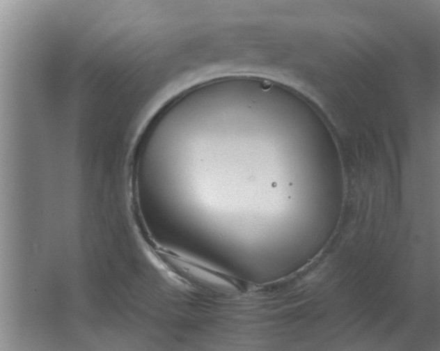 X0000066101511200603241505