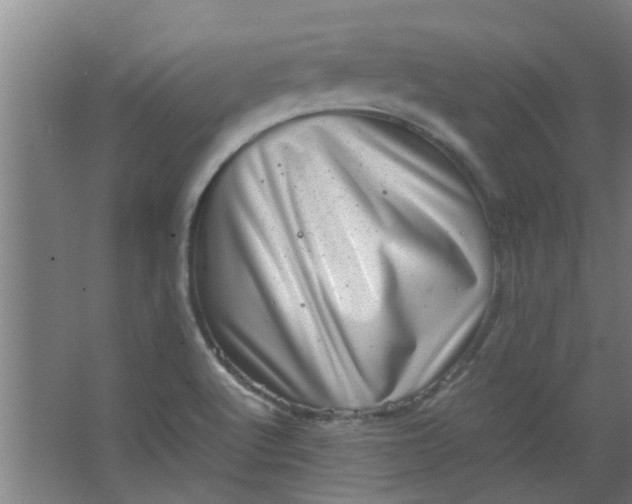 X0000066101512200603241505