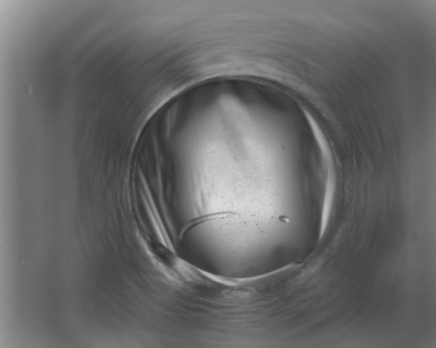 X0000066101513200603241505