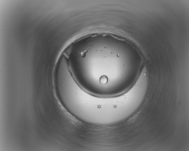 X0000066101514200603241505