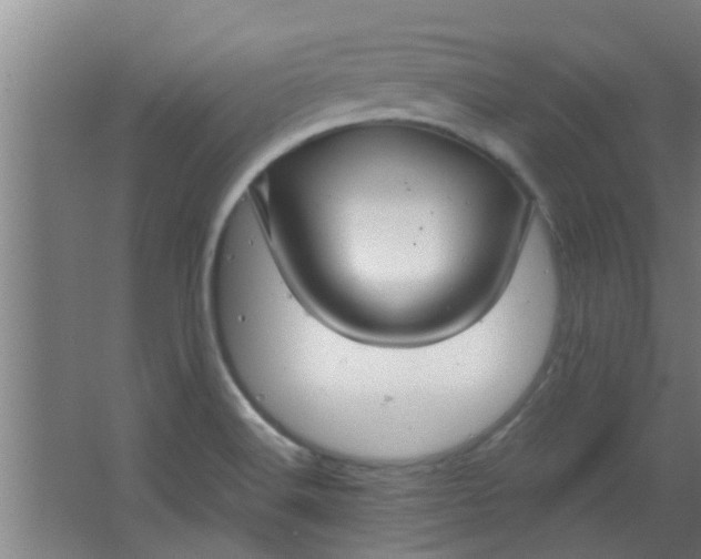 X0000066101516200603241505