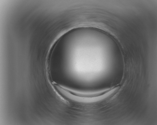 X0000066101517200603241505