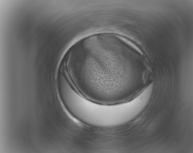 X0000066101519200603241505