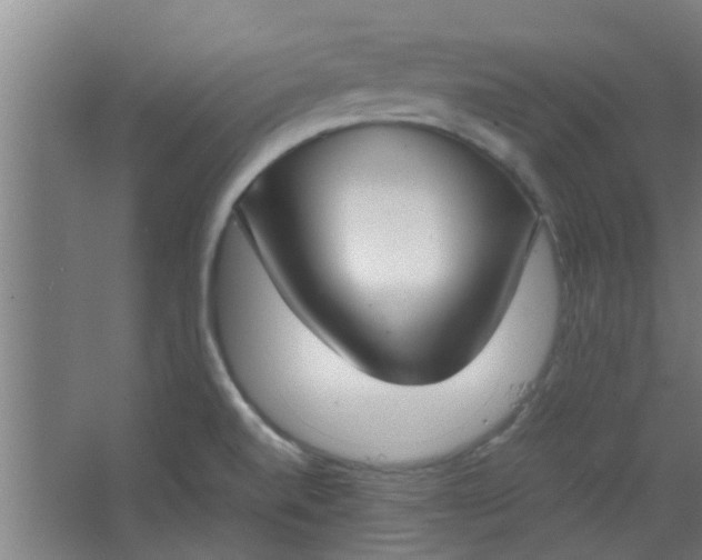 X0000066101520200603241505