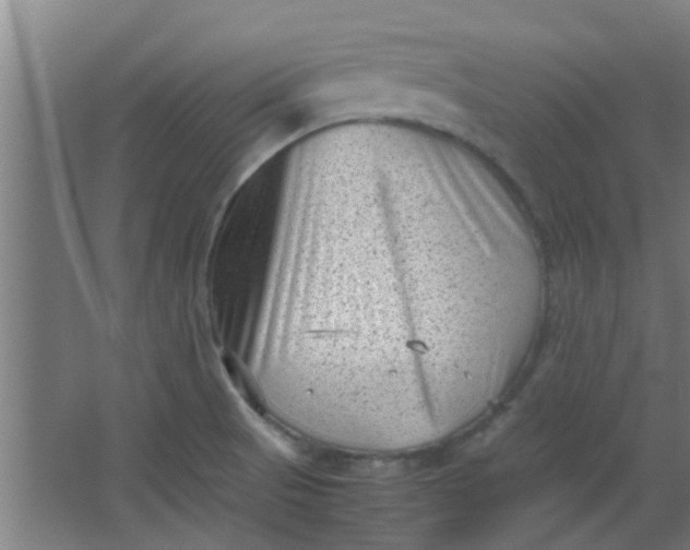 X0000066101521200603241505