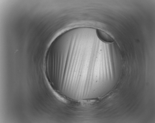 X0000066101523200603241505