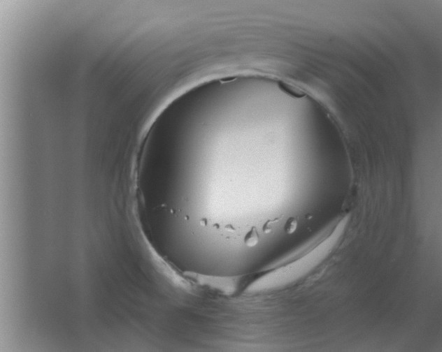 X0000066101524200603241505