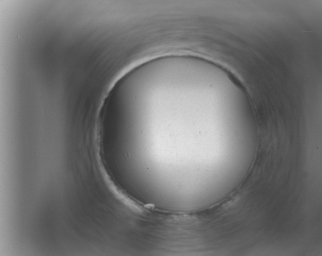 X0000066101526200603241505