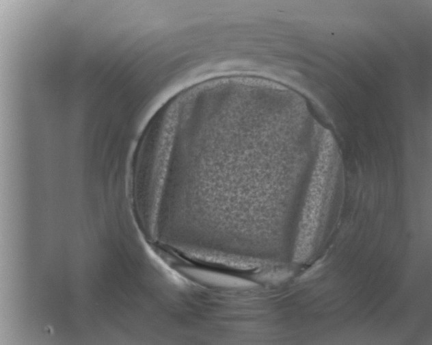 X0000066101527200603241505