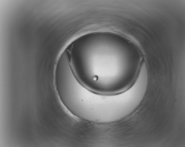 X0000066101528200603241505