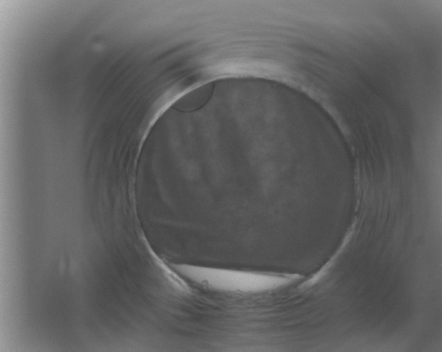 X0000066101529200603241505