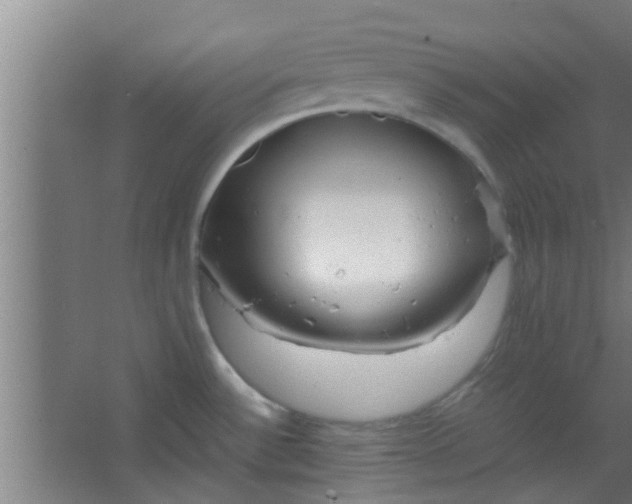 X0000066101532200603241505