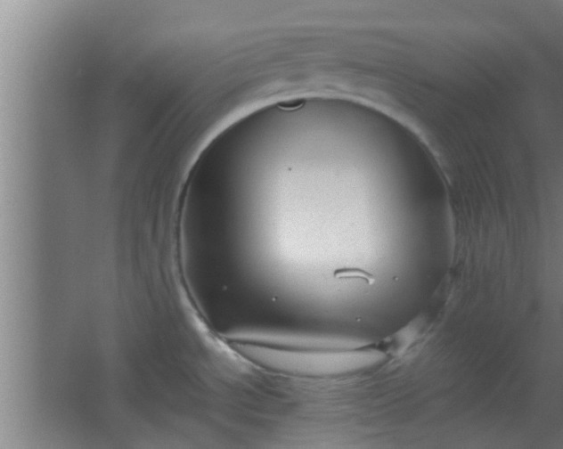 X0000066101534200603241505