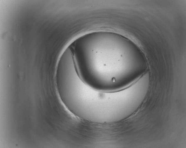 X0000066101536200603241505