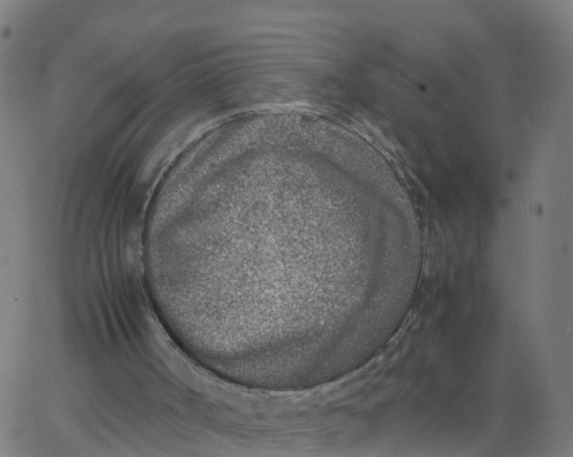 X0000066100002200603312037