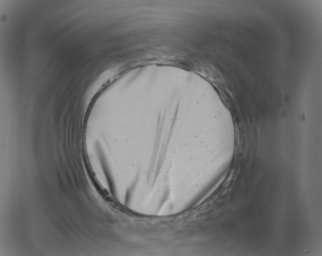 X0000066100003200603312037