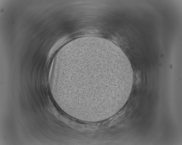 X0000066100004200603312037