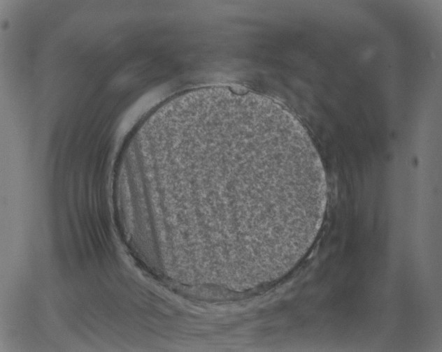 X0000066100006200603312037