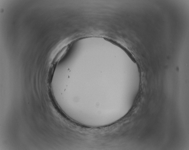 X0000066100007200603312037