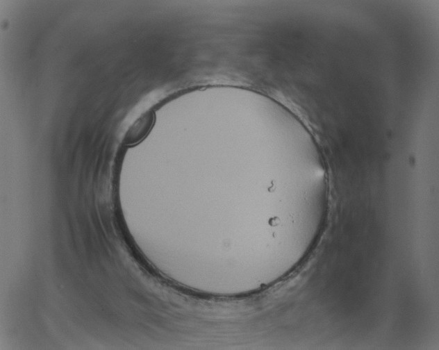 X0000066100008200603312037