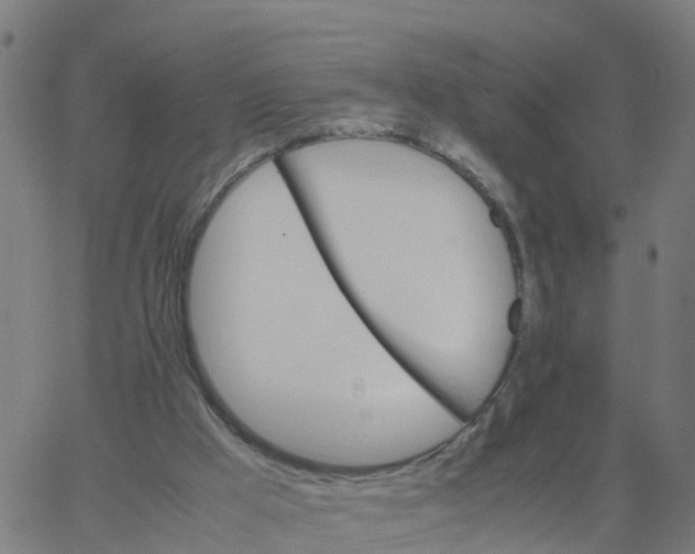 X0000066100009200603312037