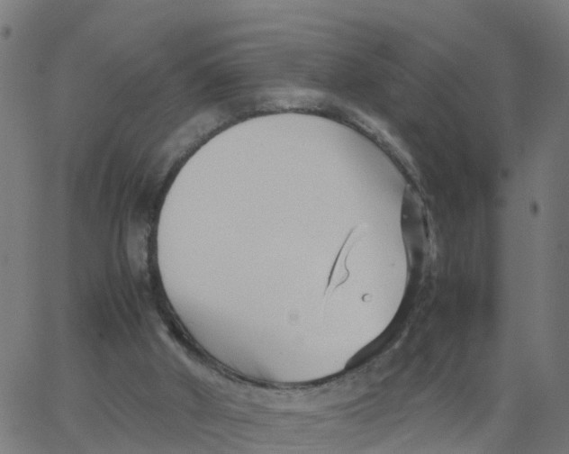 X0000066100010200603312037