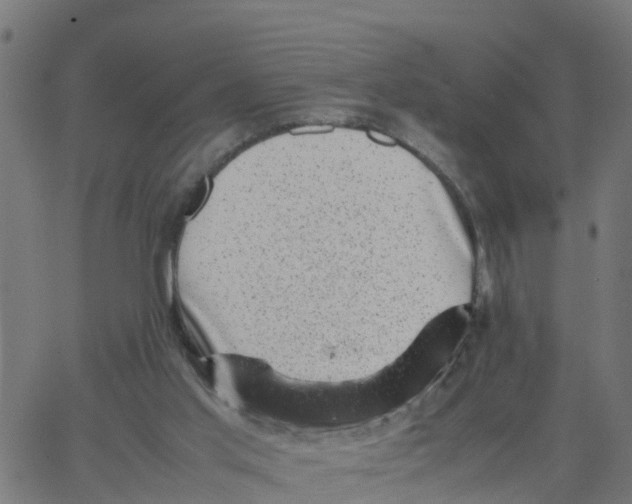 X0000066100013200603312037