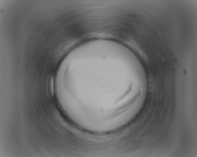 X0000066100014200603312037